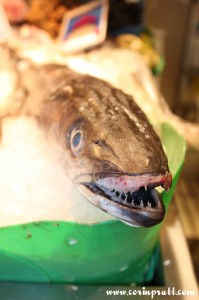 Fish, La Boqueria, Barcelona