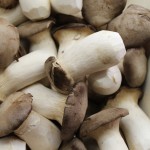 Mushrooms, La Boqueria, Barcelona