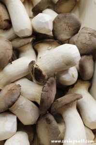 Mushrooms, La Boqueria, Barcelona