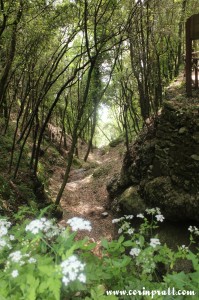 Woodland, Il Sentiero degli Dei