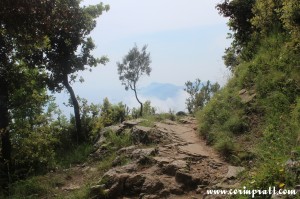 View from Il Sentiero degli Dei