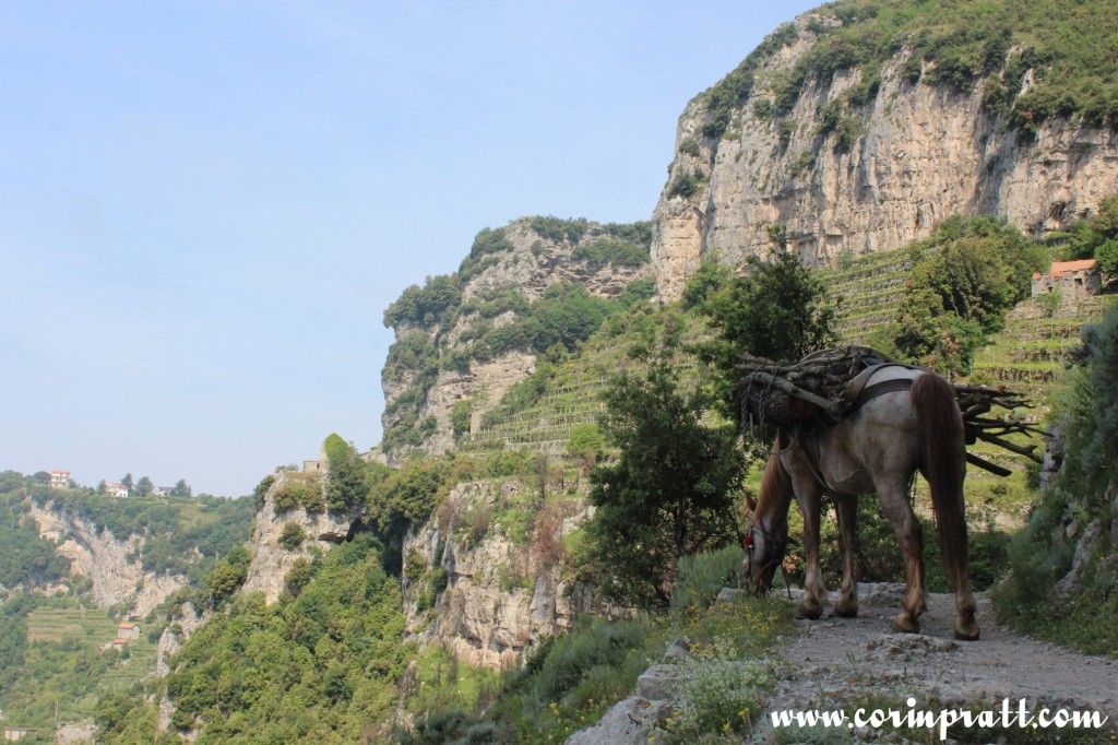 View from Il Sentiero degli Dei