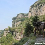 View from Il Sentiero degli Dei