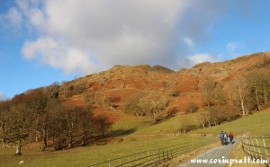 The foot of Loughrigg Fell, Lake District, mountains