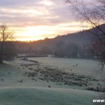 Frosty sunrise in Elterwater, Lake District