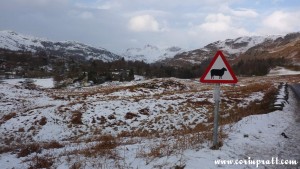 Snowy Langdale Pikes from above Elterwater, Lake District, mountains