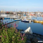 Newlyn Harbour, Cornwall