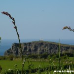 Coastal Scenery, Cornwall