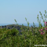 Coastal Scenery, Cornwall