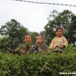 Children, Sikkim, India