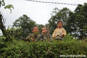 Children, Sikkim, India