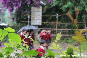 School children in the rain, Yuksom, Sikkim, India