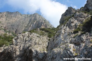 Cliffs, Capri, Italy