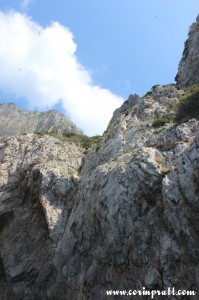 Cliffs, Capri, Italy