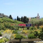 Gardens, Capri, Italy