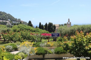 Gardens, Capri, Italy