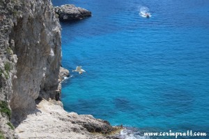 Coast, Gull, Capri, Italy