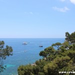 Coast, Trees, Capri, Italy