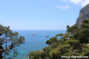 Coast, Trees, Capri, Italy