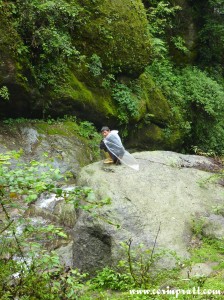 Shepherd, KNP, Yuksom, Sikkim, India