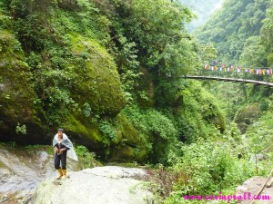 Shepherd, KNP, Yuksom, Sikkim, India