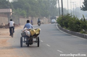 Bicycle traffic, New Delhi, road