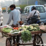 Traffic, bicycle, veg seller cart, New Delhi, road